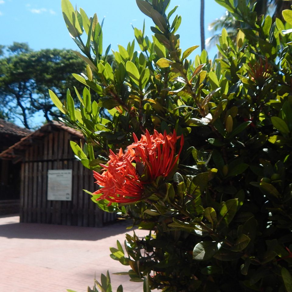 Área verde