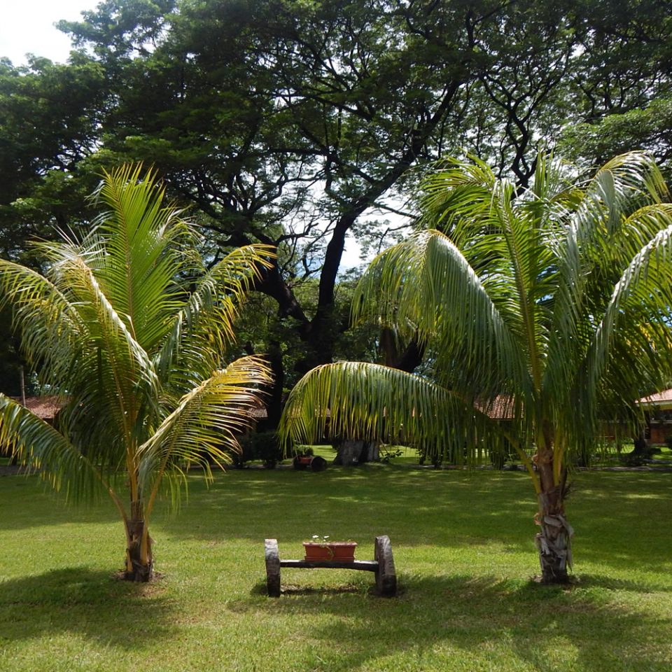 Área verde