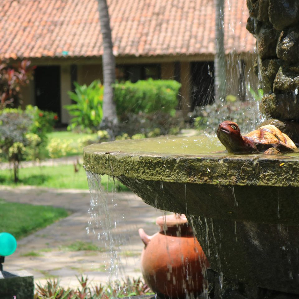 Fuente